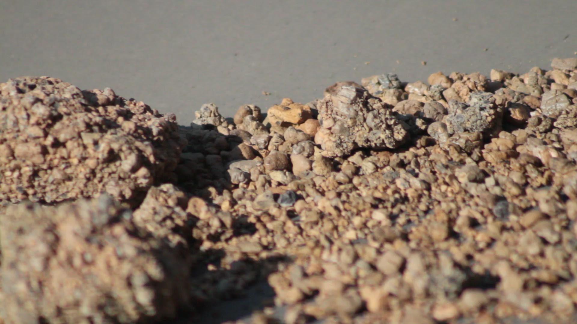 Screening and Gradation